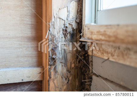 State of the pillar of the house that was damaged by termites 85780011