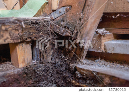 State of the pillar of the house that was damaged by termites 85780013