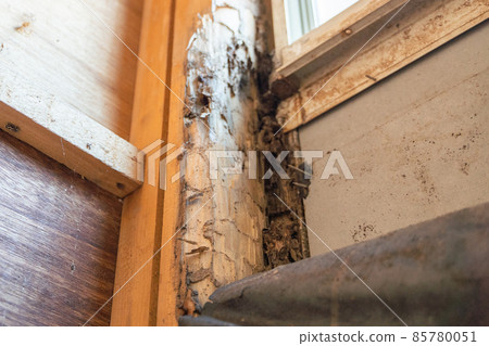 State of the pillar of the house that was damaged by termites State of the pillar of the house that was damaged by termites 85780051