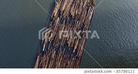 Logs pulled by a tugboat on Fraser River. 85780121