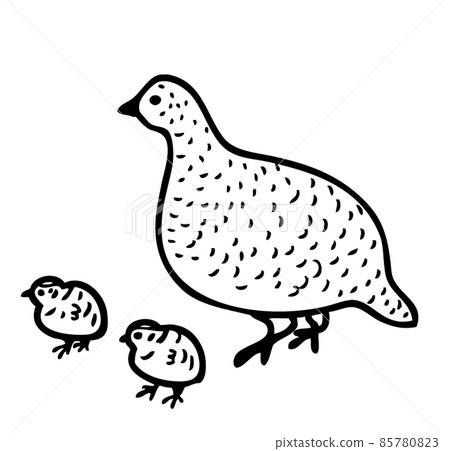 Parent and child of Thunderbird 85780823