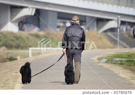 Dog and man 85780876
