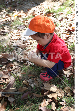 Asian boy is sitting in the garden. 85781043