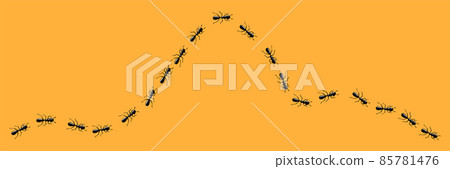 Ants trail. Route or path of ants isolated in orange background. Vector illustration Ants trail. Route or path of ants isolated in orange background. Vector illustration 85781476