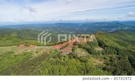 《宮城縣南三陸町》龍金山杜鵑花 85781972