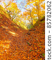 Autumn walking path 85782062
