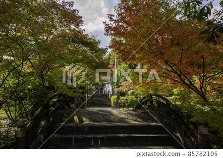 Takeo Kurokami Shrine Shinkyo Takeo City, Saga Prefecture Takeo Kurokami Shrine Shinkyo Takeo City, Saga Prefecture 85782105