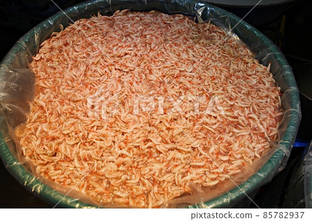 鹹魚 鹹魚 85782937