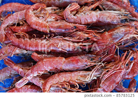 shrimp shrimp 85783125