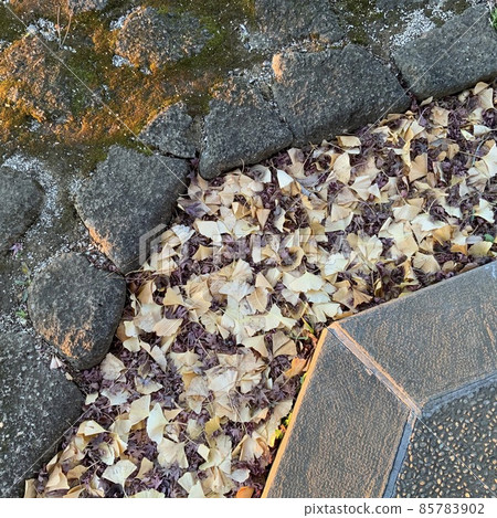 Different materials on the sidewalk ground 85783902
