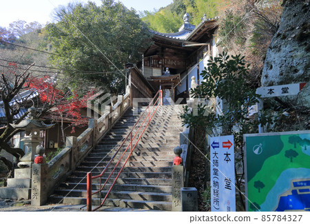Shikoku Shrine Plant No. 71 Buddhist Temple "Yaidanji" Late Autumn Daiei Shikoku Shrine Plant No. 71 Buddhist Temple "Yaidanji" Late Autumn Daiei 85784327