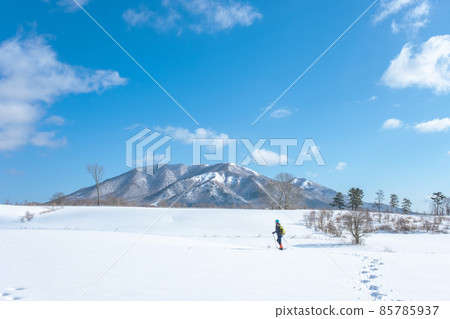 雪鞋徒步（Hiruzen Plateau）的形象 85785937