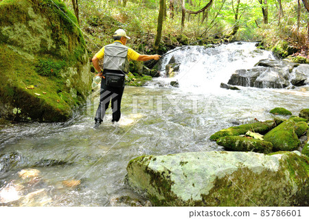 Ichinose River mountain stream fishing 85786601