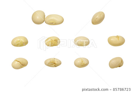 Setsubun Bean Maki Soybean Illustration Real Single Setsubun Bean Maki Soybean Illustration Real Single 85786723