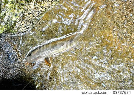 There is also a char upstream 85787684