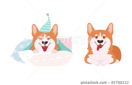 Welsh Corgi with Short Legs and Brown Coat Sticking Out Tongue and Wearing Night Cap Vector Set 85788222