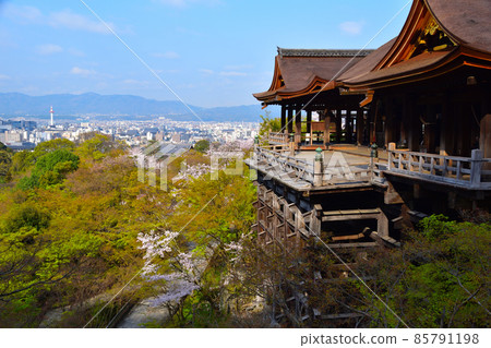 春天清水寺本館 85791198