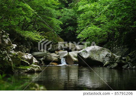 Mountain stream in Kiso Valley, Shinshu in early summer Mountain stream in Kiso Valley, Shinshu in early summer 85791206