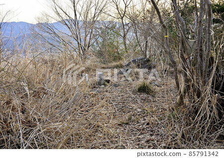 同志三海的鶴島御前山頂 同志三海的鶴島御前山頂 85791342