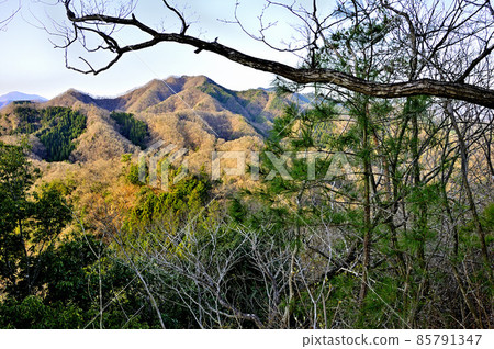 朝日的高塚山從同志三會的鶴島御前山 朝日的高塚山從同志三會的鶴島御前山 85791347