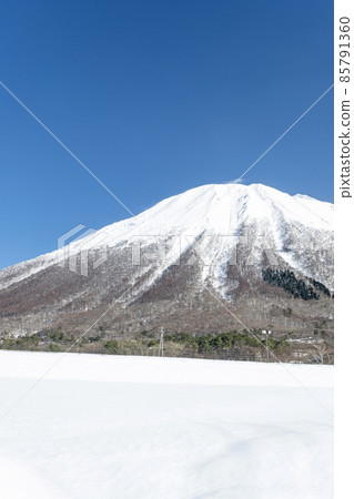 大山的雪景(來自寶木町) 大山的雪景(來自寶木町) 85791360