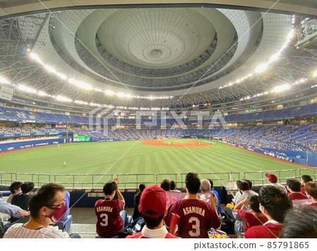 在穹頂的外場座位上觀看棒球比賽 在穹頂的外場座位上觀看棒球比賽 85791865