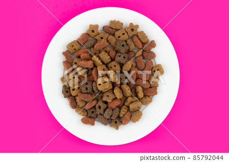 dry pet food in plate 85792044