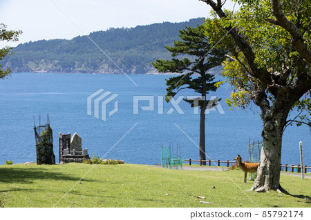 《宮城縣石卷市》金華山 85792174