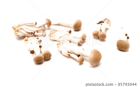 Brown shimeji mushroom isolated on white background. Japanese food 85793044