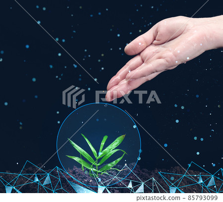 green sprout and a woman's hand waters it. The concept of starting a business, irrigating plants. Environmental protection green sprout and a woman's hand waters it. The concept of starting a business, irrigating plants. Environmental protection 85793099
