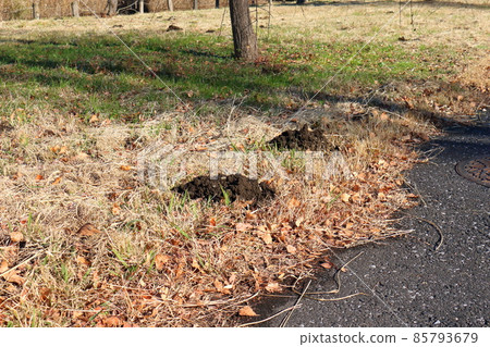 Mizumoto Park Mole Hole in Katsushika-ku, Tokyo Mizumoto Park Mole Hole in Katsushika-ku, Tokyo 85793679