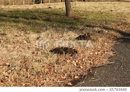 Mizumoto Park Mole Hole in Katsushika-ku, Tokyo Mizumoto Park Mole Hole in Katsushika-ku, Tokyo 85793680