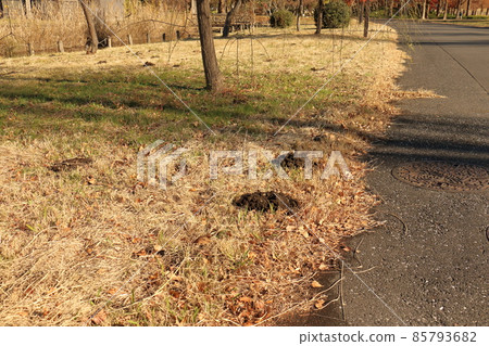 Mizumoto Park Mole Hole in Katsushika-ku, Tokyo Mizumoto Park Mole Hole in Katsushika-ku, Tokyo 85793682
