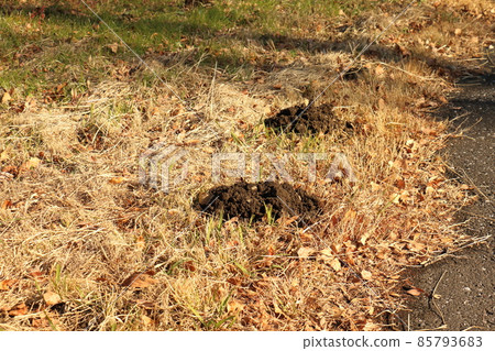 Mizumoto Park Mole Hole in Katsushika-ku, Tokyo Mizumoto Park Mole Hole in Katsushika-ku, Tokyo 85793683