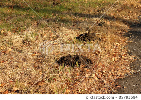 Mizumoto Park Mole Hole in Katsushika-ku, Tokyo Mizumoto Park Mole Hole in Katsushika-ku, Tokyo 85793684