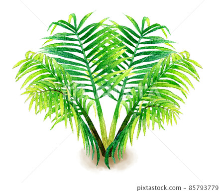 Hand-painted watercolor illustration material of foliage plants and garden trees Hand-painted watercolor illustration material of foliage plants and garden trees 85793779