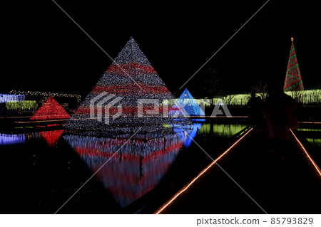 Ashikaga Flower Park Illuminations Ashikaga Flower Park Illuminations 85793829