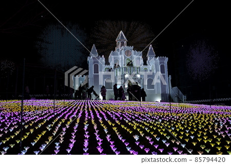 Ashikaga Flower Park Illuminations 85794420