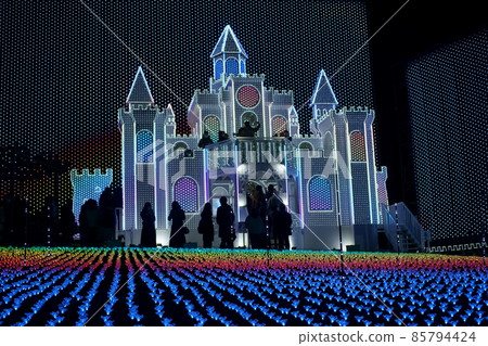 Ashikaga Flower Park Illuminations 85794424