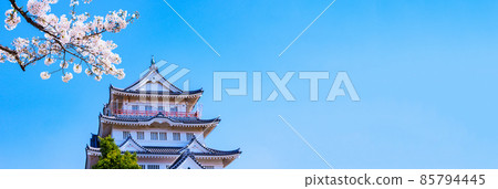 千葉城井之花城千葉市民俗博物館【千葉櫻花景點】 千葉城井之花城千葉市民俗博物館【千葉櫻花景點】 85794445