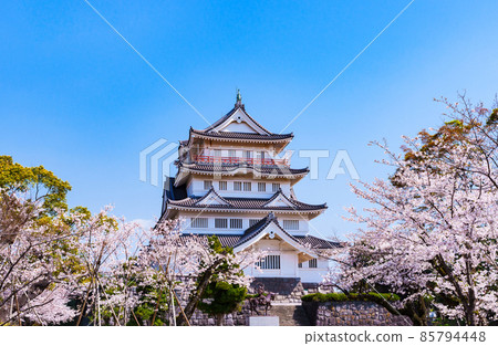 千葉城井之花城千葉市民俗博物館【千葉櫻花景點】 千葉城井之花城千葉市民俗博物館【千葉櫻花景點】 85794448