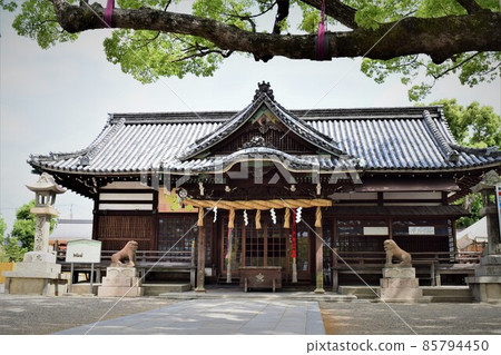 The quiet precincts of Mozuhachimangu ③ The quiet precincts of Mozuhachimangu ③ 85794450