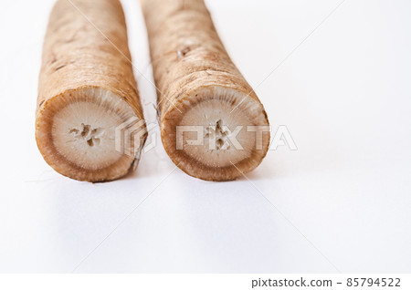 Burdock 85794522
