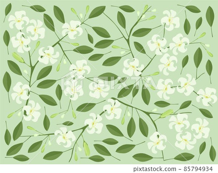 Background of Orange Jasmine or Mock Orange Flowers Background of Orange Jasmine or Mock Orange Flowers 85794934