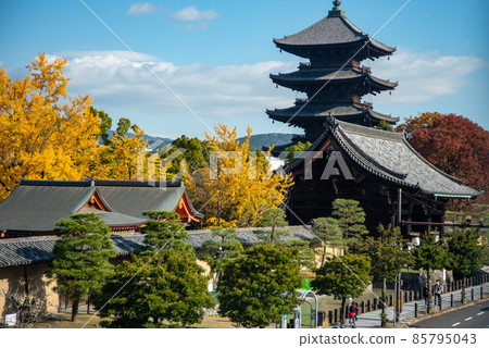Kyoto Toji Temple in autumn with beautiful autumn leaves Kyoto Toji Temple in autumn with beautiful autumn leaves 85795043