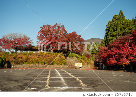 Beautiful autumn leaves of Saga-Arashiyama Beautiful autumn leaves of Saga-Arashiyama 85795713