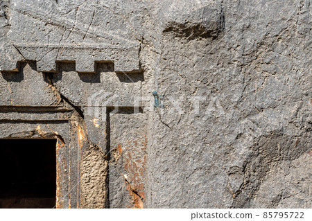 blue lizard basking in the sun sitting on the wall of a stone-cut tomb in Myra 85795722