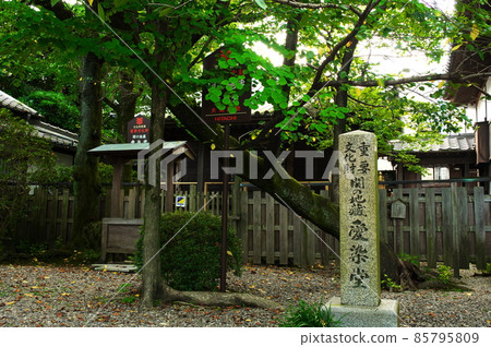 Sekijuku Sekijizoin Aizendo (National Important Cultural Property): Kameyama City, Mie Prefecture 85795809
