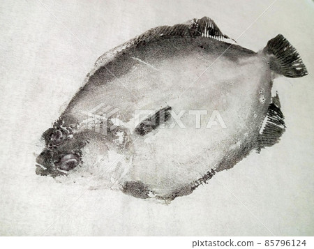 Gyotaku:具有略微吸引大型大理石比目魚臉部的成分 Gyotaku:具有略微吸引大型大理石比目魚臉部的成分 85796124
