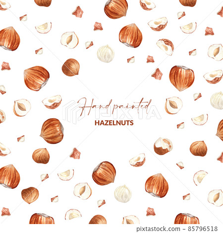 Background of hazelnuts on white. Raw nuts with shell and unpeeled nuts. Hand drawn watercolor illustration of organic food for label, greeting card, packaging design. Background of hazelnuts on white. Raw nuts with shell and unpeeled nuts. Hand drawn watercolor illustration of organic food for label, greeting card, packaging design. 85796518